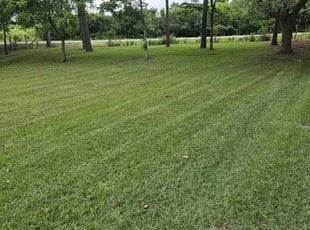 Suzy B.'s Lawn Service service result