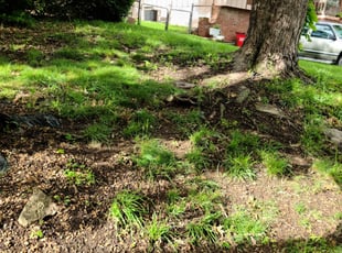 Cleanups by Garrett Howell for Jeff L. in Blue Springs, MO