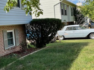 Bush Trimming by Carlos Portillo for Shalonda W. in Fort Washington, MD