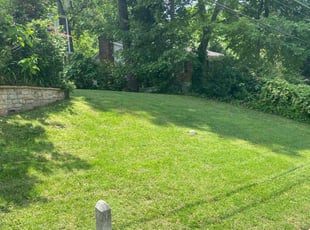 Tom B.'s Lawn Mowing service result