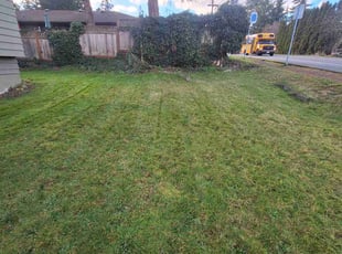 Kathy P.'s Lawn Service service result