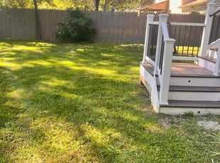 Tina P.'s Lawn Service service result