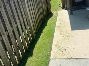 Cameron F.'s Lawn Mowing Service service result