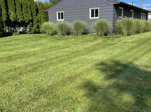Thomas J.'s Grass Cutting service result