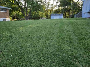 Angelica H.'s Lawn Care service result