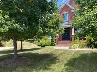 Lorrie L.'s Lawn Mowing service result