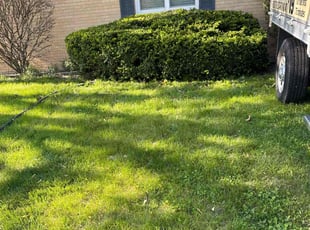 Bush Trimming by Aileen Sanchez for Sam S. in Aurora, IL