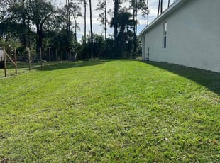 Reginald K.'s Lawn Service service result