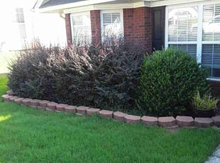 Jason H.'s Lawn Service service result