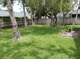 Rhonda G.'s Lawn Maintenance service result
