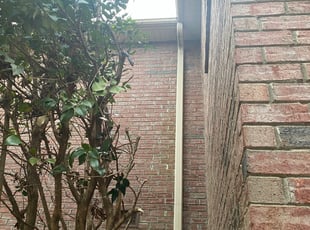 Bush Trimming by Daniel Reyes for Scott P. in Lake Wylie, SC