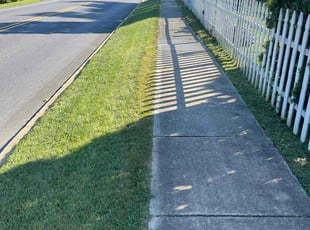 Diane F.'s Yard Cutting service result
