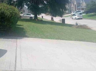 Flordelino (Tony) B.'s Grass Cutting service result