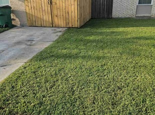Janice W.'s Lawn Mowing service result