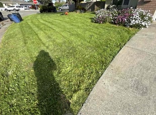 Nathaniel H.'s Grass Cutting service result