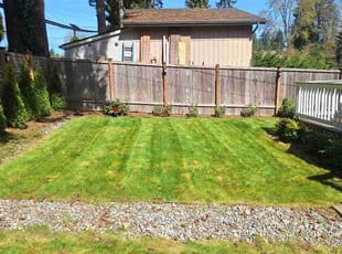 Laurel p.'s Lawn Care service result