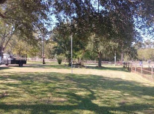 Shanette C.'s Yard Cutting service result