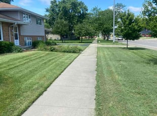 Marian C.'s Lawn Service service result