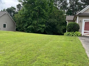 Noel P.'s Lawn Mowing service result