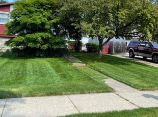 Viktor A.'s Lawn Care service result