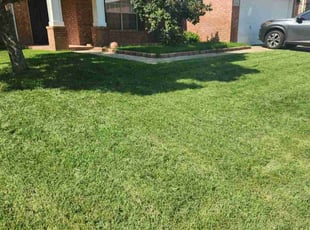 Jeremy L.'s Lawn Mowing service result