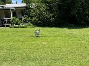 Michael P.'s Lawn Care service result