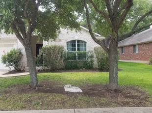 Bush Trimming by Stanley Edwards for Hyeyoung S. in Austin, TX
