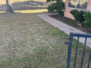 Leaf Removal by Devonn Ford for Dave M. in Fort Worth, TX