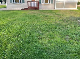 Dejordan E.'s Grass Cutting service result
