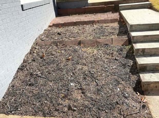 Weeding by Carlos Portillo for Jacob D. in Springfield, VA