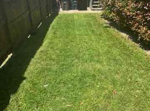 Mary O.'s Lawn Service service result
