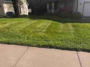 Erik M.'s Lawn Care service result