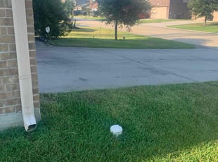 Angela R.'s Lawn Mowing Service service result
