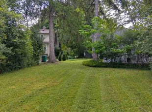 Makiera A.'s Lawn Care service result