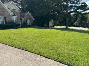 Denise A.'s Lawn Maintenance service result