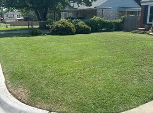 Hector S.'s Lawn Mowing Service service result