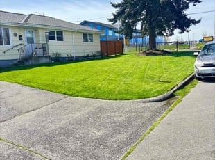 Mary S.'s Lawn Care service result