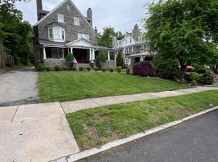 Jane B.'s Lawn Mowing service result