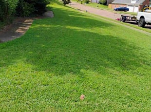 BILLY JOE S.'s Grass Cutting service result