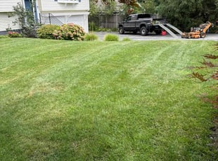 Tacarol B.'s Lawn Maintenance service result