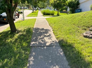 Nick H.'s Lawn Care service result