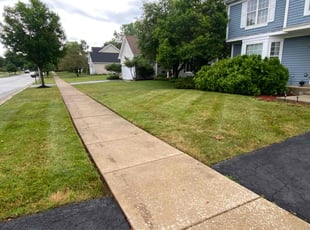 Raymond R.'s Lawn Mowing service result