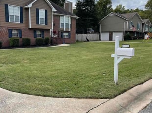 Elma E.'s Lawn Mowing service result