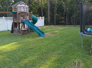 Tracy S.'s Lawn Mowing service result