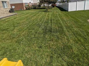 Ashley A.'s Lawn Service service result