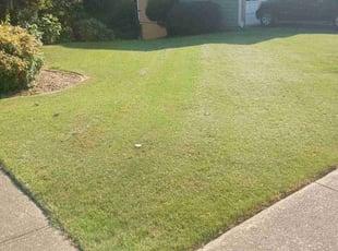 Renona P.'s Lawn Service service result
