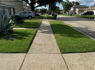 donecia s.'s Lawn Mowing service result