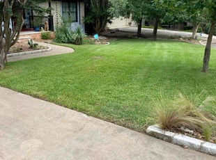 Kristin A.'s Lawn Service service result