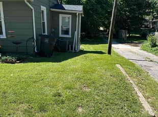 Yakaria B.'s Grass Cutting service result