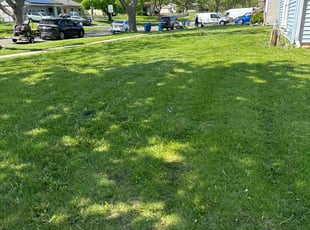 Laura S.'s Lawn Mowing Service service result